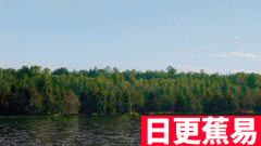 ★日更蕉易★网络上常见的经典gif动态图源视频集合 第一百七十二期